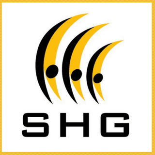 Sydney Hills Gymnastics